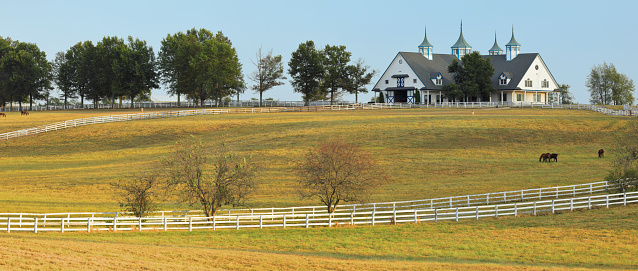 Lexington, Kentucky, USA - October 3, 2019: Kentucky rural scene panorama. The countryside surrounding the city of Lexington is known as the Bluegrass region of Kentucky - characterized by its rolling hills, fertile soil and horse farms. The region has been a center for breeding thoroughbred race horses since the 1800’s.