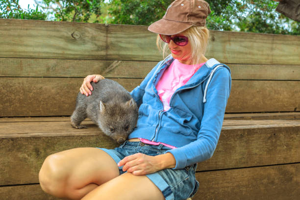 istock Woman with Wombat joey 1205769364