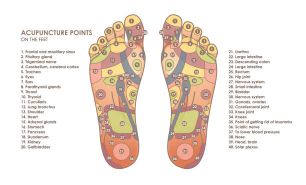 illustrazioni stock, clip art, cartoni animati e icone di tendenza di punti di agopuntura sui piedi. zone riflesse ai piedi. medicina cinese. illustrazione vettoriale - foot massage