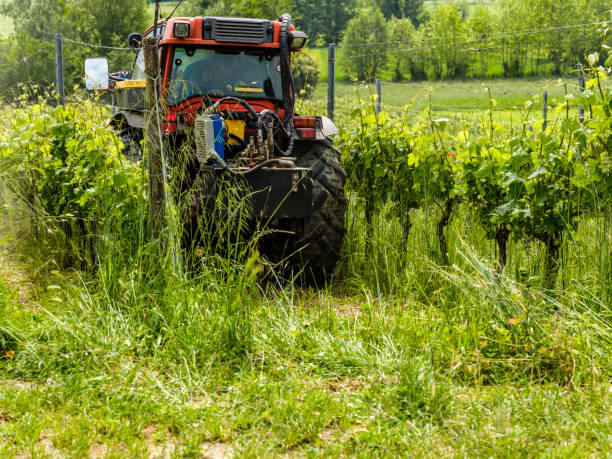 istock Tractor in the middle of the vineyards 1205770025