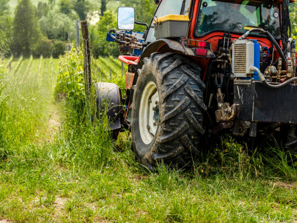 istock Tractor in the middle of the vineyards 1205770059