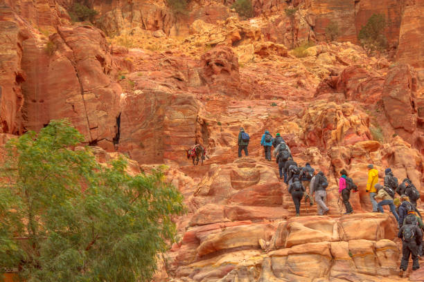 Petra, Jordan - Jan 4, 2020: tourists, Bedouins and mules climb the 850 steps to reach Al-Deir, alias the Monastery, the largest and most distant monument of Petra. Steps carved out of sandstone rock.