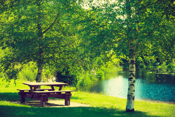 istock Rest place in park, picnic table in peaceful surrounding 1205778419