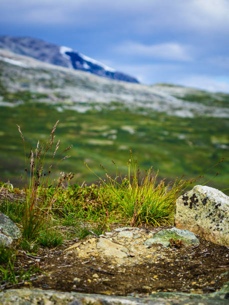 istock Mountains landscape. Norway route Aurlandsfjellet 1205779985