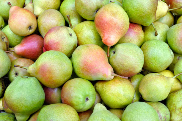 istock close-up of stack of ripe organic pears 1205780091