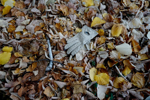 One women's leather glove abandoned among autumn leaves. Lost glove among fallen leaves.