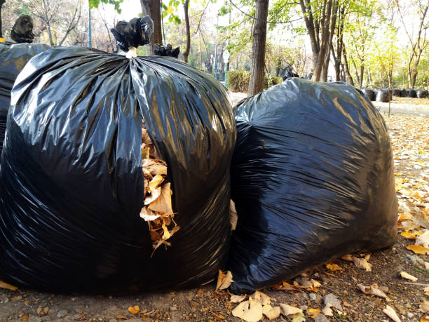 istock Fallen autumn leaves gathered in biodegradable plastic bags 1205780150