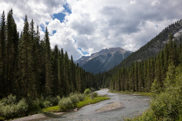 istock Landscape in the Canadian Rockies 1205780329