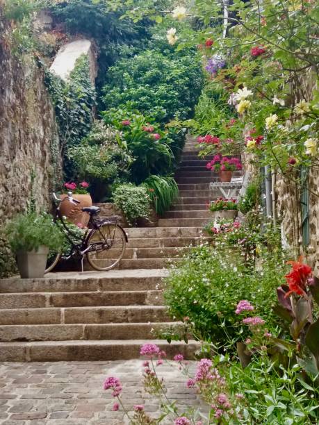 dinard et ses ruelles - bicycle ornamental garden flower formal garden photos et images de collection