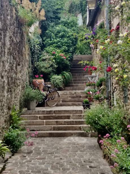 dinard - bicycle ornamental garden flower formal garden stock-fotos und bilder