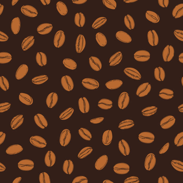 vektormuster mit kaffeebohnen. - raw coffee bean stock-grafiken, -clipart, -cartoons und -symbole