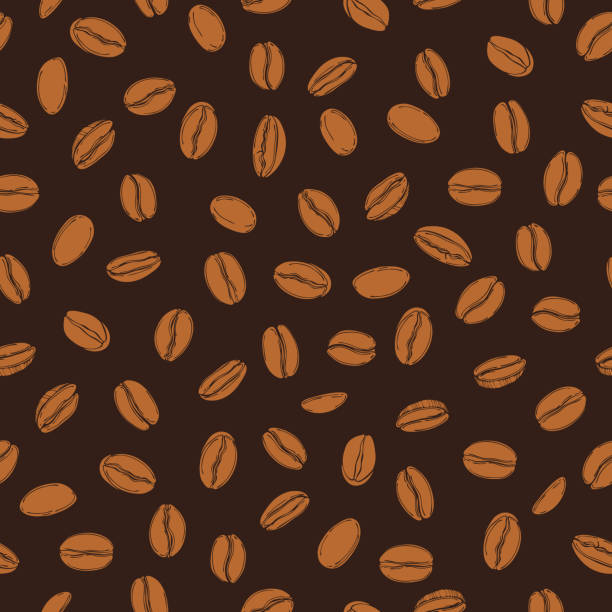 Vector  pattern with   coffee  beans. Vector seamless pattern with hand drawn  coffee  beans. coffee stock illustrations
