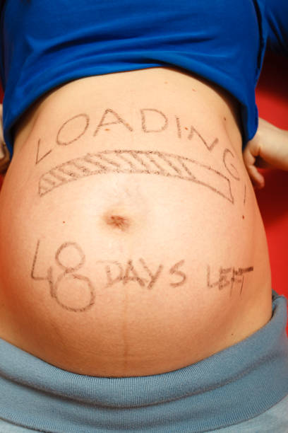 istock Pregnant woman with loading concept painted on her belly 1205786710