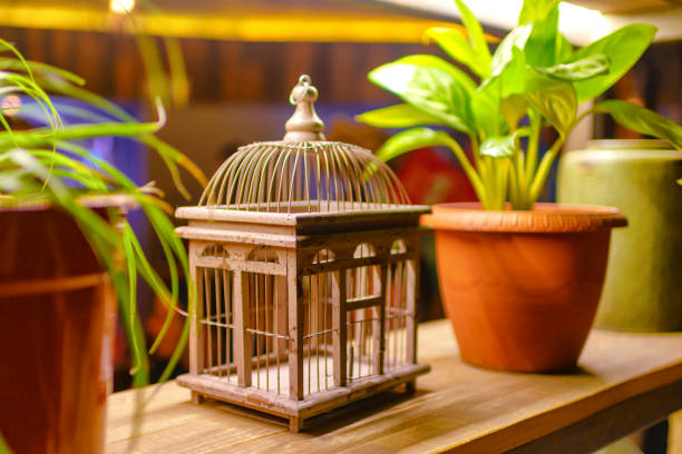 Empty Wooden Bird Cage on Outdoor Floor