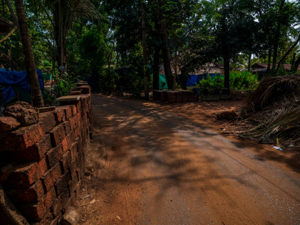 istock A rural Indian beautiful village red soil pathwa 1205790943