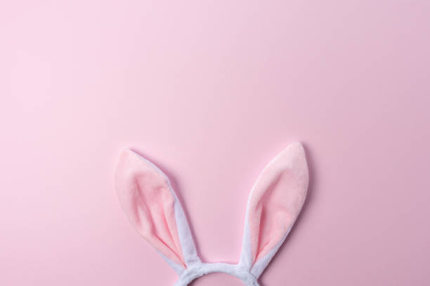 istock Pink bunny ears on pink background. Minimal Easter concept. 1205792384