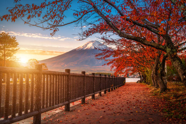 富士河口湖の日の出に紅葉した河口湖の上の富士山。 - fuji mt fuji yamanashi prefecture japanese fall foliage ストックフォトと画像