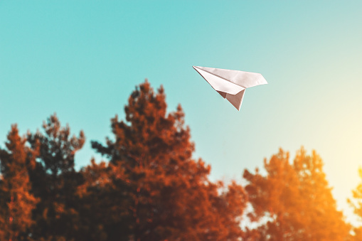 white paper airplane in the air amid trees lit by the warm light of the sun