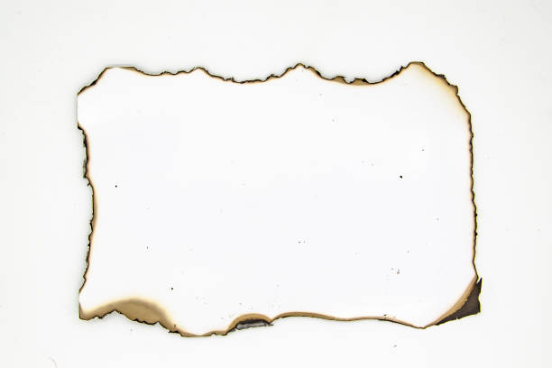 istock Burned photo paper on white background. Paper element can be used in design 1205794968
