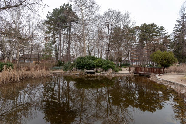 istock Japanese garden in Siofok 1205796796