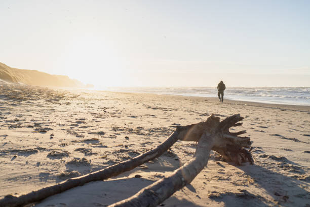 istock A walk at the beach in nothern denmark 1205798030