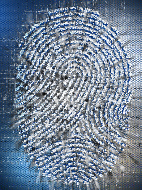 istock Fingerprint by hexagon on hexagon background 1205799892