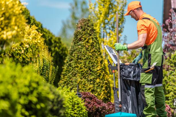 istock Garden Seasonal Maintenance 1205802326