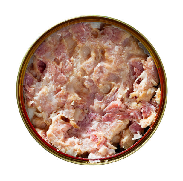 istock Preserved stewed meat on wooden table 1205802690