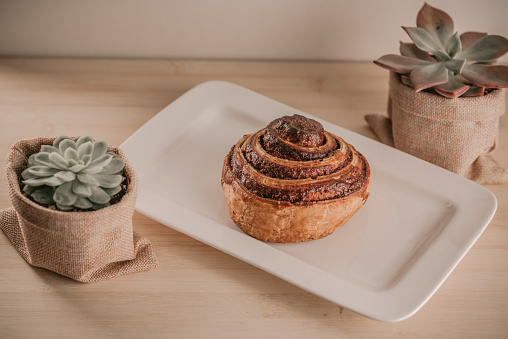 Cinnamon Danish Swirl-classic buttery danish pastry rolled glazed with sugar on dish and two small succulent plant on wooden table. Toned image, retro vintage style.