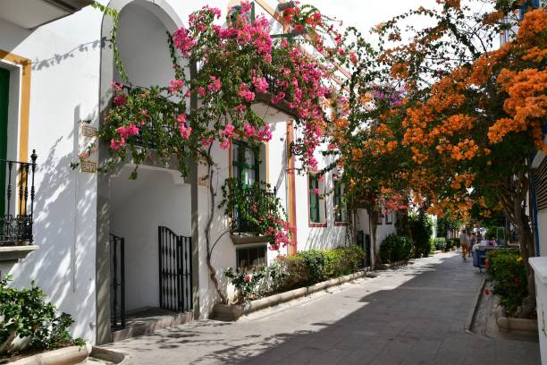 istock Street view in Puerto de Mogan Spain 1205804044