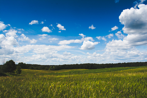Open Grassy Field Under a Brilliant Blue Sky in Hillsdale, MI, United States