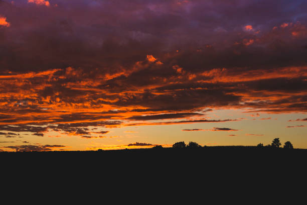 istock Sunset with an Orange Cloud Bank with Tree Silhouttes on a Hill 1205805717