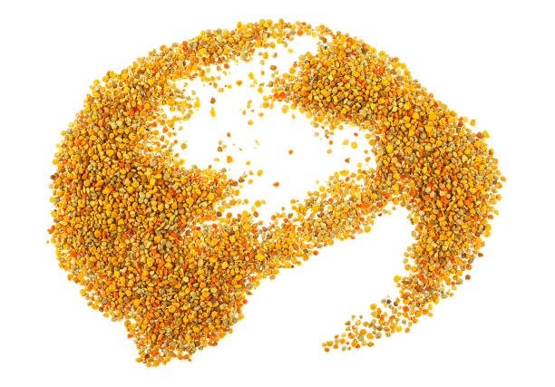 Scattering of bee pollen isolated on a white background. Bee product.