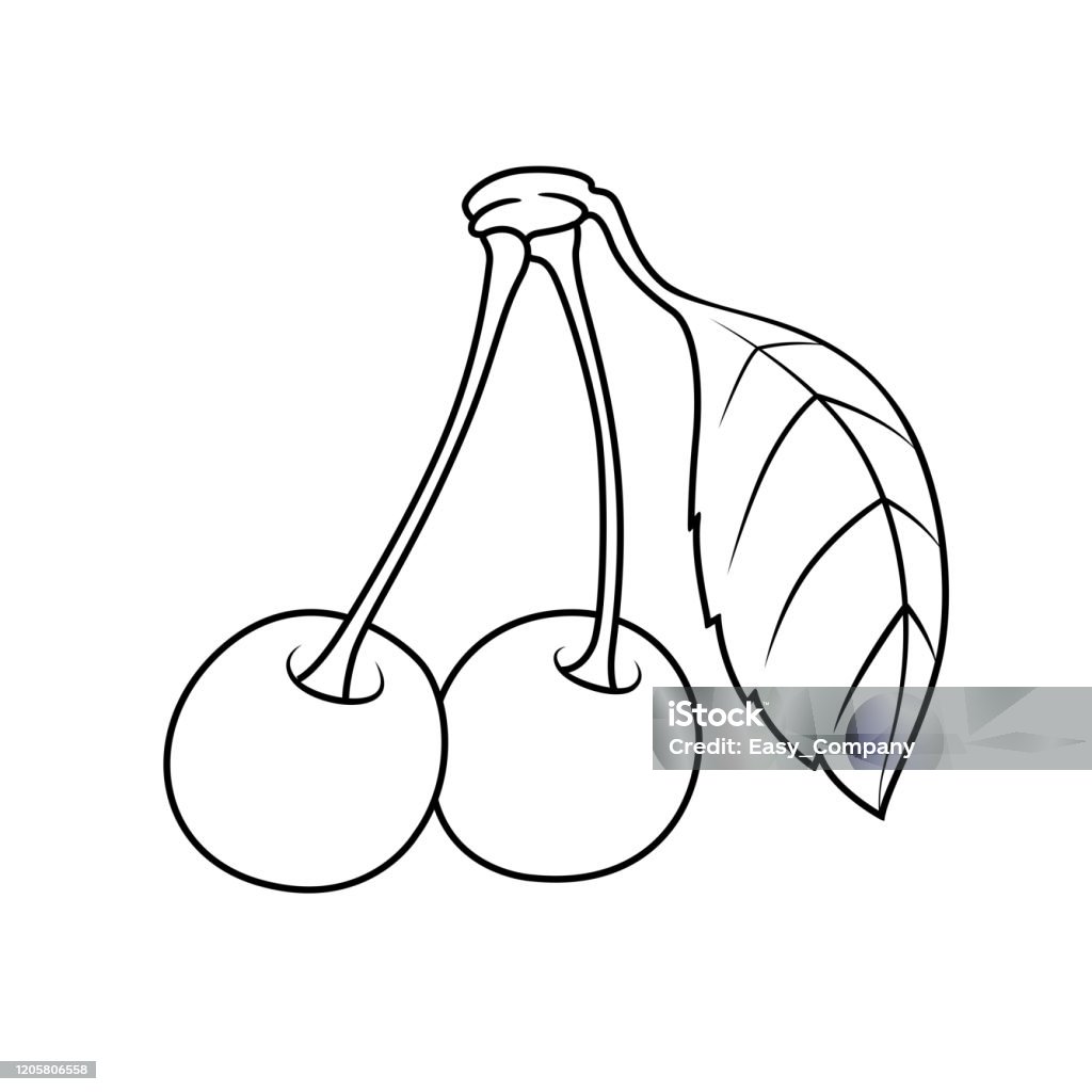 Ceri Coloring Vector Illustration Of Cherry Isolated On White Background For Kids ...