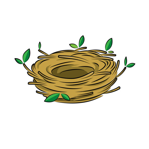 ilustraciones, imágenes clip art, dibujos animados e iconos de stock de ilustración vectorial del nido de aves aislado sobre fondo blanco. - birdhouse animal nest bird tree