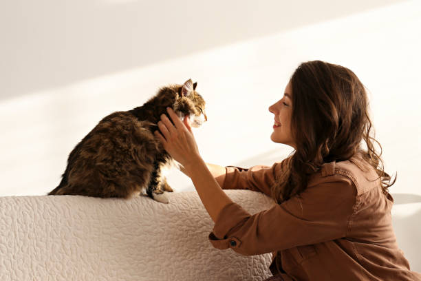 istock Charismatic young woman playing with her adorable cat. 1205809584