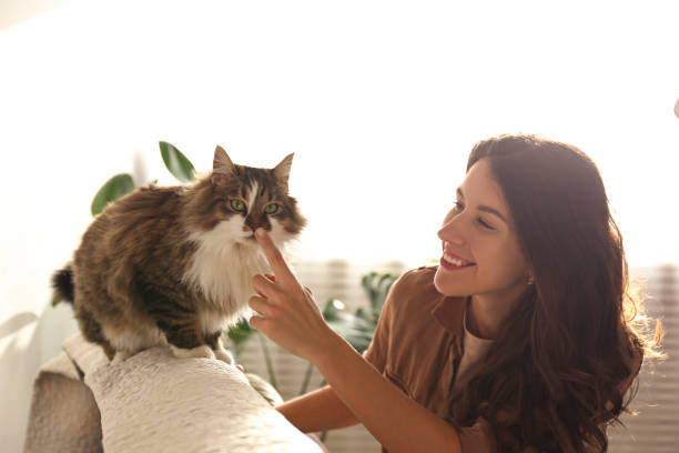 istock Charismatic young woman playing with her adorable cat. 1205809594