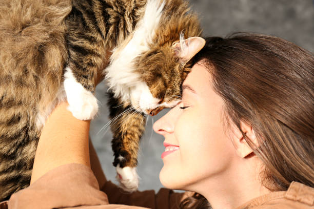 istock Charismatic young woman playing with her adorable cat. 1205810464