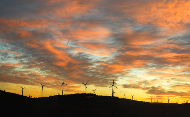 istock Wind Farm cropped against an orange cloudscape 1205810599