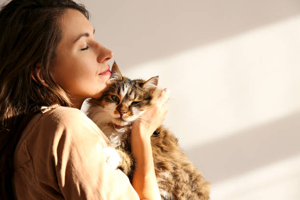 istock Charismatic young woman playing with her adorable cat. 1205810841