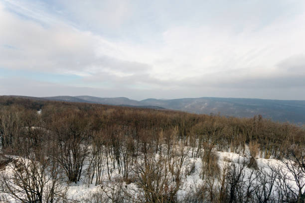 Winter forest in the Pilis, Hungary.