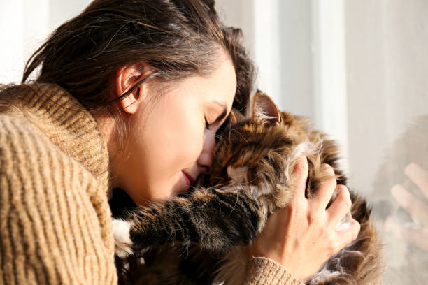 istock Charismatic young woman playing with her adorable cat. 1205811773