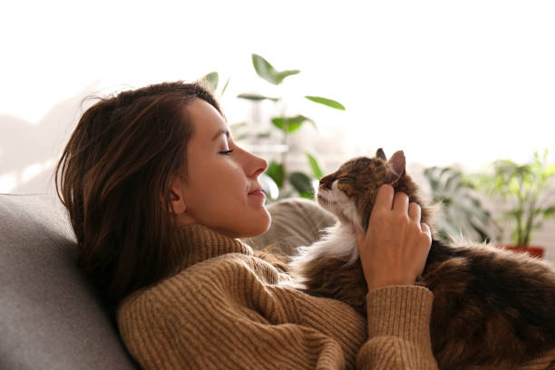 istock Charismatic young woman playing with her adorable cat. 1205811781