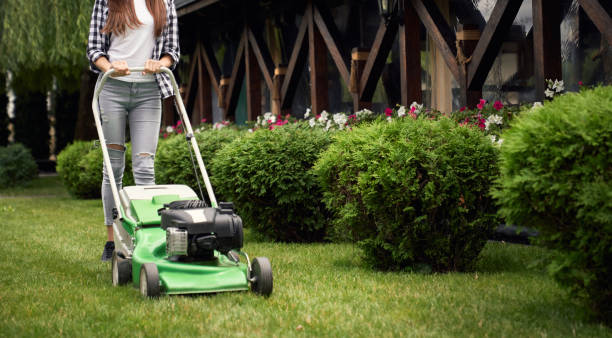 istock Crop of female gardener using lawn mower. 1205811798