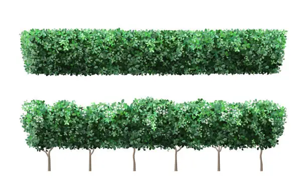 Vector illustration of Realistic garden plant fence. Nature green seasonal bushes, tree crown bush foliage and green fence with cute flowers. Garden shrub vector illustration set