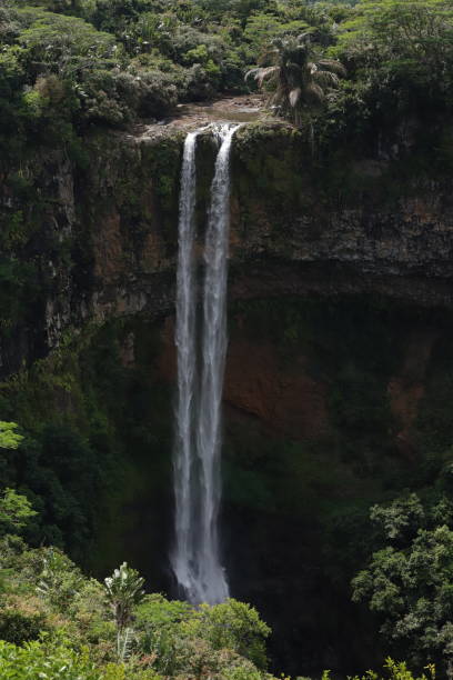 istock Chamarel Waterfall, Mauritius, Indian Ocean, Africa 1205811905