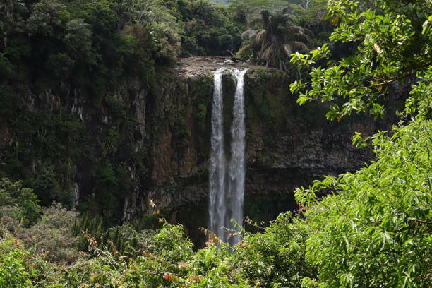 istock Chamarel Waterfall, Mauritius, Indian Ocean, Africa 1205812066
