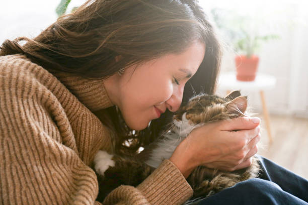 istock Charismatic young woman playing with her adorable cat. 1205812098