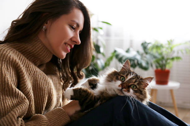 istock Charismatic young woman playing with her adorable cat. 1205812099