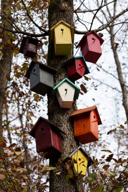 istock Colorful wooden beehives in forest 1205812262